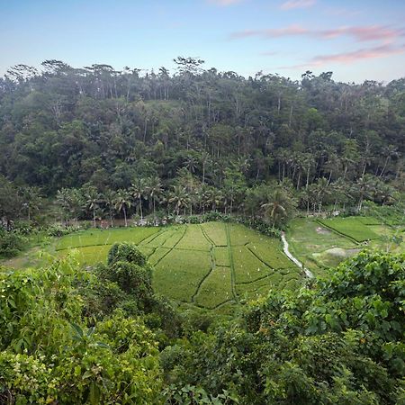 Black Penny Villas Ubud Eksteriør billede
