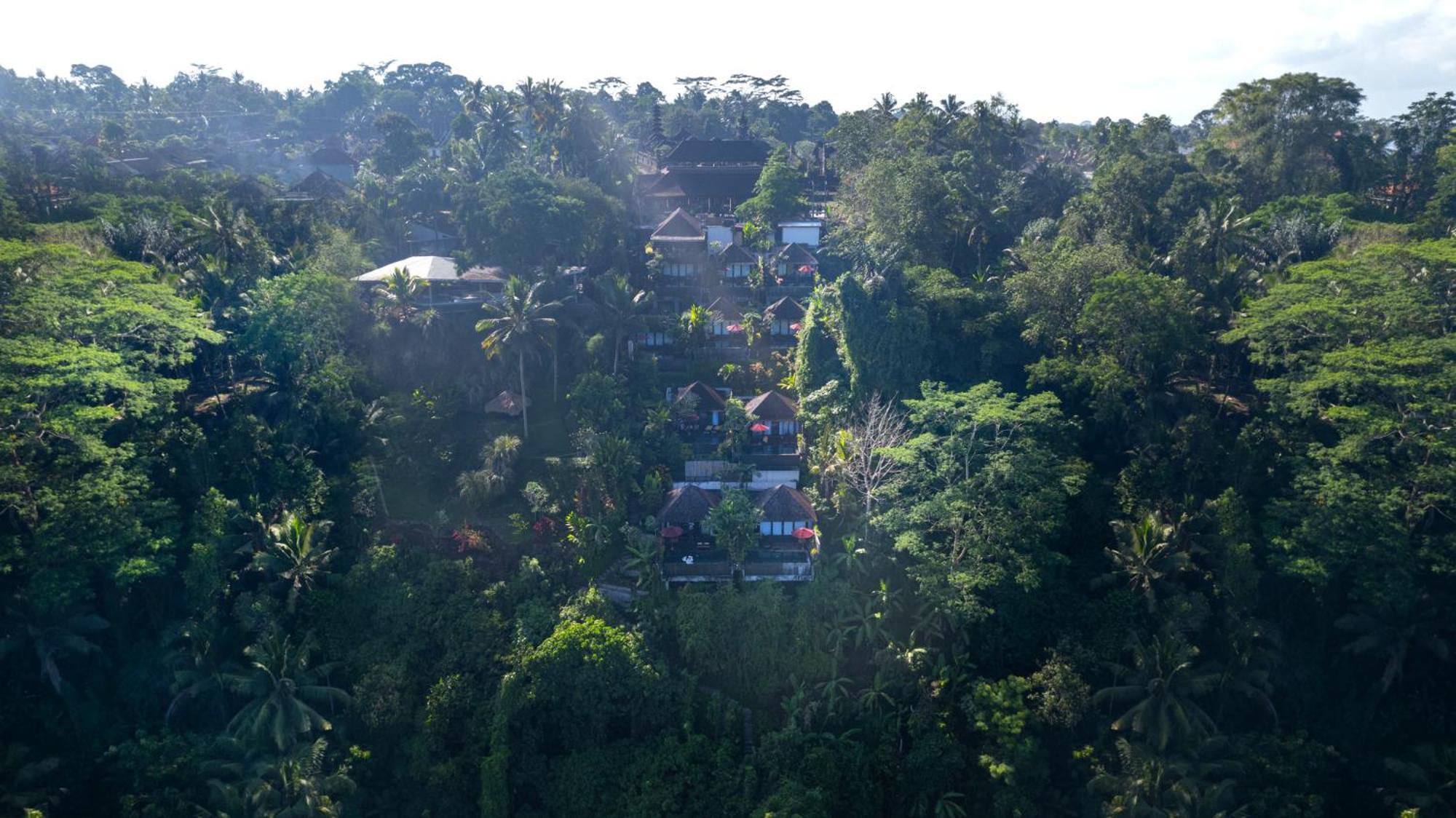 Black Penny Villas Ubud Eksteriør billede