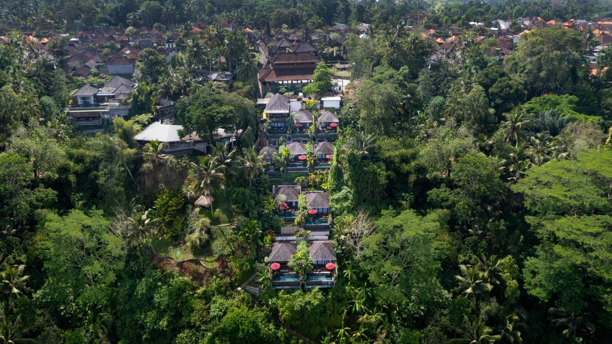 Black Penny Villas Ubud Eksteriør billede